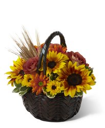 Harvest Sunshine Basket<b> from Flowers All Over.com 